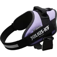 JULIUS K-9 IDC-Power-harnais avec champ de logo, taille 1 violet