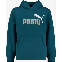 Puma Essential 2 Color Nº1 Logo Hoodie Bleu 13-14 Years Garçon