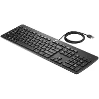 HP Clavier professionnel USB, plat, taille standard (100 %), filaire, USB, noir
