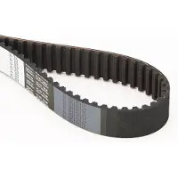 CONTITECH Courroie de distribution CONTINENTAL CT619
