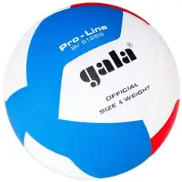 Gala Pro Line 12 Volley-ball en salle