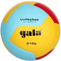 Gala d'entraînement de ballon de volley-ball Bv5555s