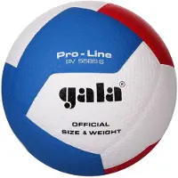 Gala Ballon de volley-ball Pro Line Bv 5585s
