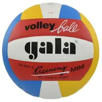 Gala Ballon de volley-ball d'entraînement Mini couleur Bv4041s