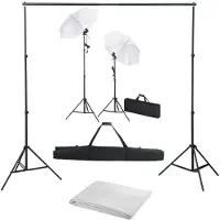 vidaXL Kit studio photo avec fond, luminaires et parapluies