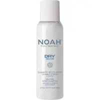 NOAH Shampoing sec , Neutro, pour cheveux, apporte volume et fraîcheur, 100 ml