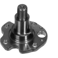 Meyle Fusée d'essieu, suspension de roue 100 501 0029