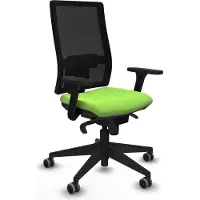 Piqueras Y Crespo Chaise de bureau Horna , modèle 3D066G0, couleur pistache