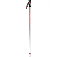 Vola Sl Alu-carbon World Cup 16 Mm Poles Argenté 130 cm