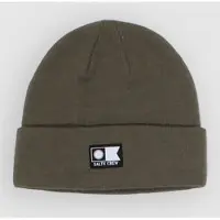 Salty Crew Flagship Beanie Vert Homme