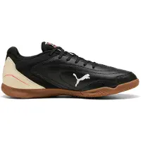Puma Truco Iv Indoor Football Shoes Noir EU 41 Homme