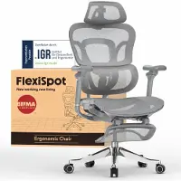 FlexiSpot ErgoX Max : chaise de bureau ergonomique, supportant jusqu'à 300 kg, avec repose-pieds, appui-tête 4D et accoudoirs 5D, support lombaire et dorsal intégrés, couleur gris