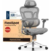 FlexiSpot ErgoX Max : Fauteuil de bureau ergonomique, supportant jusqu'à 300 kg, avec repose-tête 4D et accoudoirs 5D, support lombaire et dorsal intégrés. Fauteuil de gaming, couleur gris