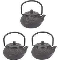 Torribaly Lot de 3 théières en fonte de style japonais de 50 ml avec passoire