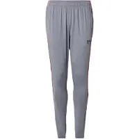 Under Armour Pantalon de sport 'Challenger' gris basalte