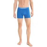 Icebreaker Anatomica Boxers Bleu 2XL Homme