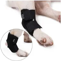 INF Support de jambe pour chien - Attelle courte pour chien XL