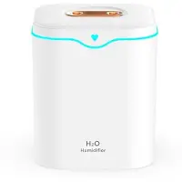Typecat Humidificateur D'Air à Double Port de Pulvérisation de Capacité de 2000 Ml, Diffuseur D'Aromathérapie Silencieux USB, Machine à Brume Fraîche