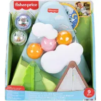 Fisher-Price Les amis de la forêt : La montagne à balles