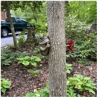 Semoic Grenouille Silencieuse Arbre Peeker Jardin Arbre Sculptures Extérieur Arbre Face Jardin Arbre Hugger Statue Intérieur Extérieur Cour A