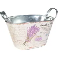 Goliat Fleur décorative galvanisée ovale 20x14x11.5cm