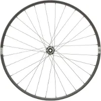 Reynolds G30 Expert Cl Disc Tubeless Gravel Front Wheel Argenté 12 x 100 mm