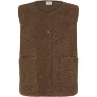 Fransa Gilet 'FRGWYNNE' marron