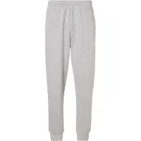 The North Face Pantalon 'EVOLUTION SIMPLE DOME' gris chiné
