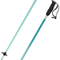 Atomic Redster X Poles Noir 110 cm
