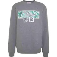Mitchell & ness Sweatshirt MN-NFL-INTL749-MIADOL-GRY pour Homme