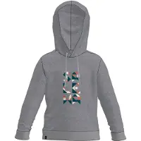 Salewa Sweat à Capuche Eagle
