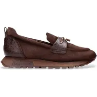 Hispanitas Hi265166 Oregon Couleur Marron