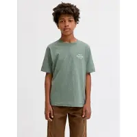 Jack & Jones Kids Junior T-Shirt 'JORNORREBRO' menthe / blanc