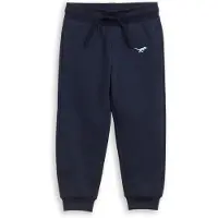 Tom Tailor Pantalon marine