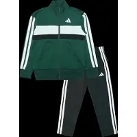 Adidas Survêtement 'Seasonal Essentials Tiberio' vert foncé / noir / blanc
