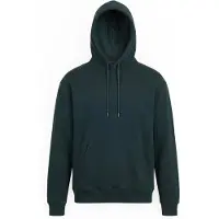 Volcom Sweat-shirt 'SINGLE STONE' vert foncé