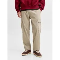 Jack & Jones Pantalon cargo 'JPSTKane Dylan' pierre