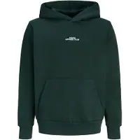 Jack & jones Junior Sweat 'JJBAY' sapin / blanc
