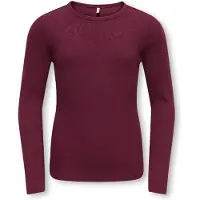 ONLY GIRLS T-Shirt 'KOGLUCKY' lie de vin