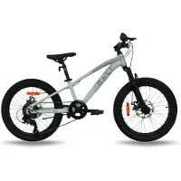 RALI Spro-1 20´´ Tourney Mtb Bike Gris Garçon