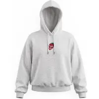 Volcom Sweat-shirt 'EYESON PO' gris / rouge