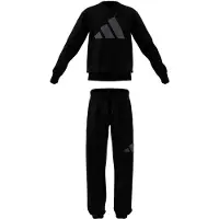 Adidas Essentials Jogger Set Noir 11-12 Years Enfants
