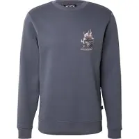 Billabong Sweat-shirt 'Foundation' opal / bleu clair / pierre / rose ancienne