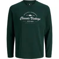 Jack & Jones Junior T-Shirt 'ZANDER' vert foncé / blanc