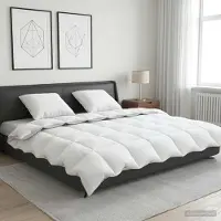 Syfax Ensemble de couettes en duvet de canard, 90% duvet, modèle FULDA, comprenant 3 pièces, dimensions 240 x 260 cm, couleur blanche