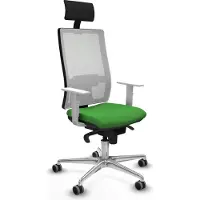 Piqueras Y Crespo Chaise de bureau , modèle 4B086G1, couleur verte