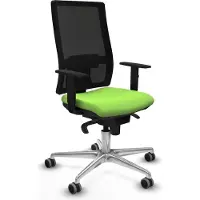 Piqueras Y Crespo Chaise de bureau Horna , modèle 1D086G0, couleur pistache