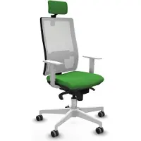 Piqueras Y Crespo Chaise de bureau , modèle 4B026G2, couleur verte