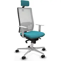 Piqueras Y Crespo Chaise de bureau , modèle 4B086N2, couleur turquoise