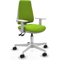 Piqueras Y Crespo Chaise de bureau , modèle B5B026N, couleur pistache
